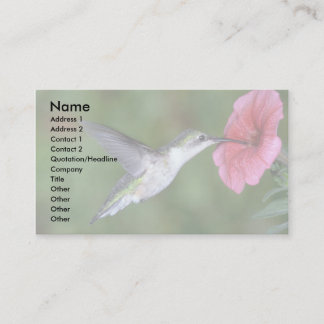 Ruby-throated Hummingbird (weiblich) mit Petunia Visitenkarte