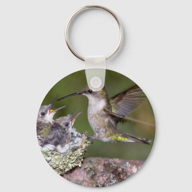 Ruby-throated Hummingbird (weiblich) with young Schlüsselanhänger (Vorderseite)
