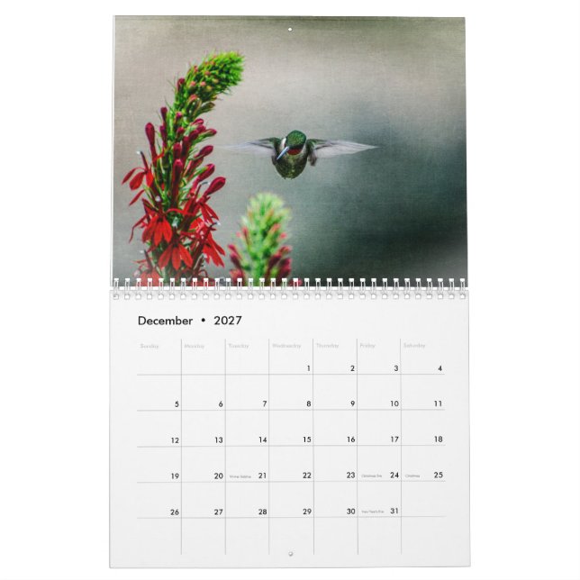 Ruby Throated Hummingbirds Kalender (Dez 2027)