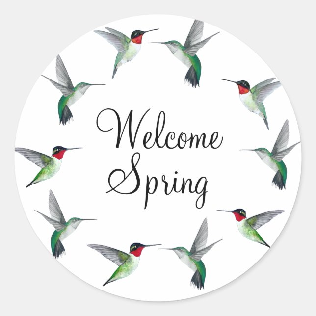 Ruby-throated Hummingbirds Welcome Spring Runder Aufkleber (Vorderseite)