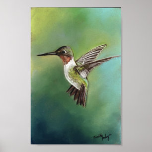 Ruby Throby Humming Bird Art Print Poster