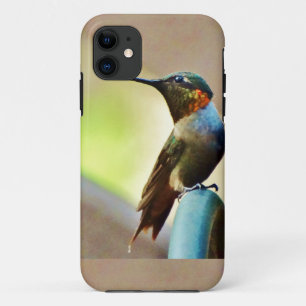 Ruby und Grüner kleiner Hummingbird Case-Mate iPhone Hülle