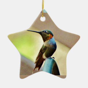 Ruby und Grüner kleiner Hummingbird Keramikornament