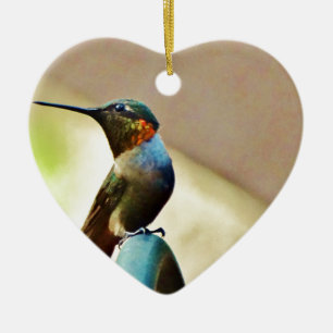 Ruby und Grüner kleiner Hummingbird Keramikornament