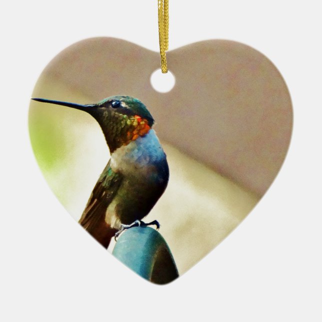 Ruby und Grüner kleiner Hummingbird Keramikornament (Vorne)