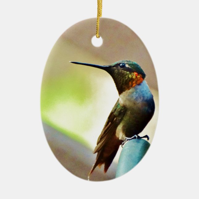 Ruby und Grüner kleiner Hummingbird Keramikornament (Vorne)
