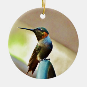 Ruby und Grüner kleiner Hummingbird Keramikornament