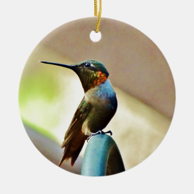 Ruby und Grüner kleiner Hummingbird Keramikornament (Vorne)