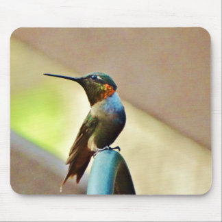 Ruby und Grüner kleiner Hummingbird Mousepad