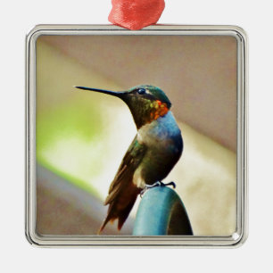 Ruby und Grüner kleiner Hummingbird Silbernes Ornament
