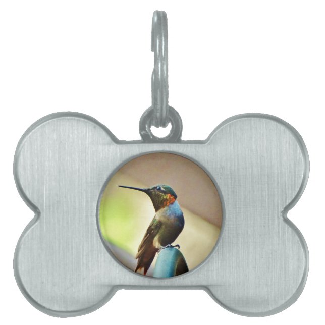 Ruby und Grüner kleiner Hummingbird Tiermarke (Vorderseite)