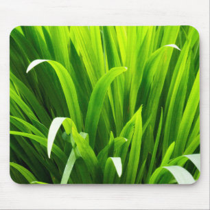 Rückbeleuchtete Blätter im Garten Mousepad