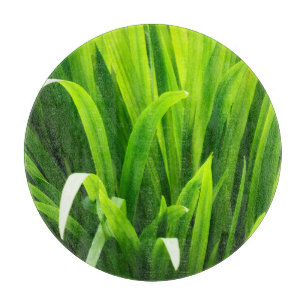 Rückbeleuchtete Blätter im Garten Schneidebrett
