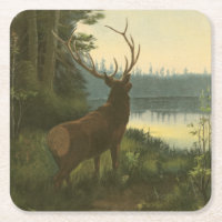 Rückblick auf den Elk Blick auf den See