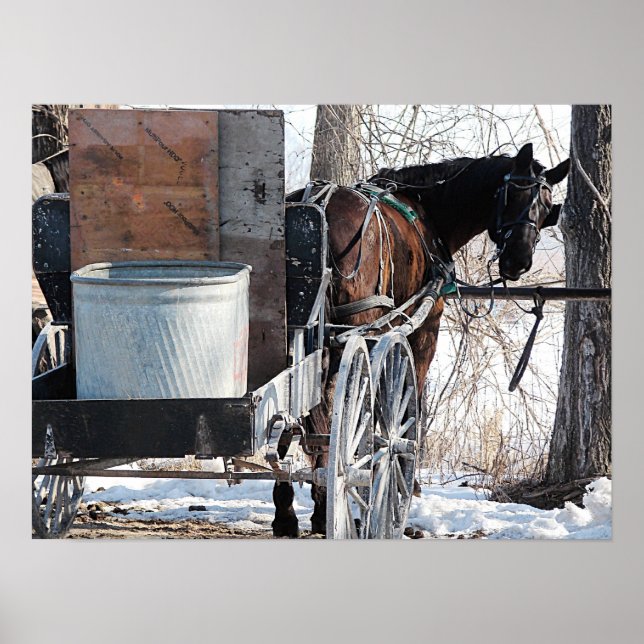 Rückblick Poster (Vorne)