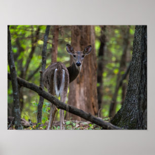 Rückblick schmerzhaft poster