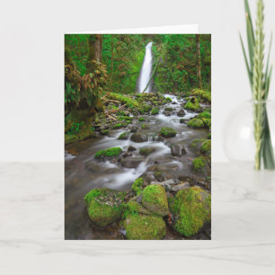 Ruckel Creek Falls, Columbia River Gorge Oregon Karte