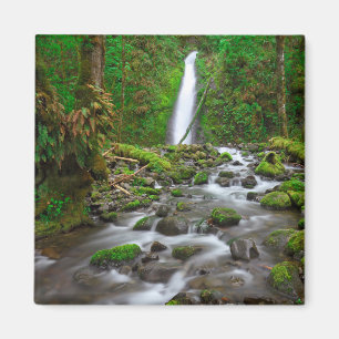 Ruckel Creek Falls, Columbia River Gorge Oregon Magnet