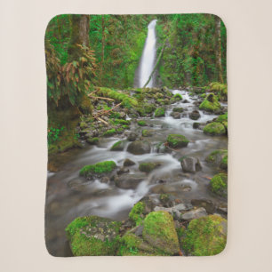 Ruckel Creek Falls, Columbia River Gorge Oregon Sherpadecke