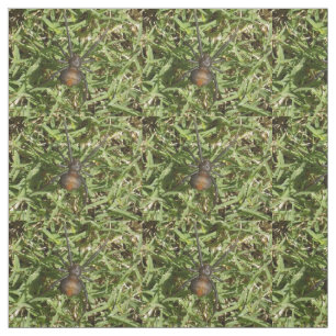 Rücken der Spinne auf grünem Gras, Stoff