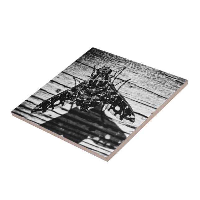 Rückflug Fliese (Seite)