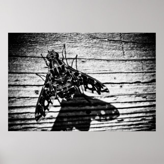 Rückflug Poster (Vorne)