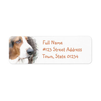 Rückgabeadresse für Basset-Hound