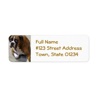 Rückgabeadresse für Boxer Hund