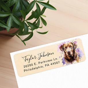 Rückgabeadresse für Schokolade-Labrador