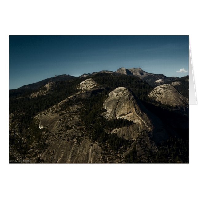 Rückgabekarte (Vorderseite (Horizontal))