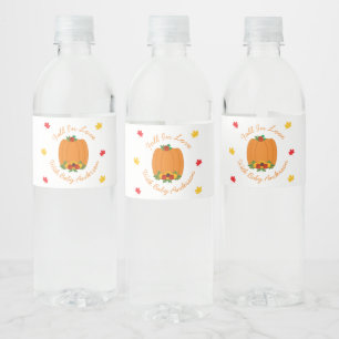 Rückgang der Liebe-Kinderdusche Wasserflaschenetikett