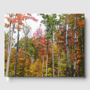 Rückgang der waldfarbenen Herbstfotografie Gästebuch