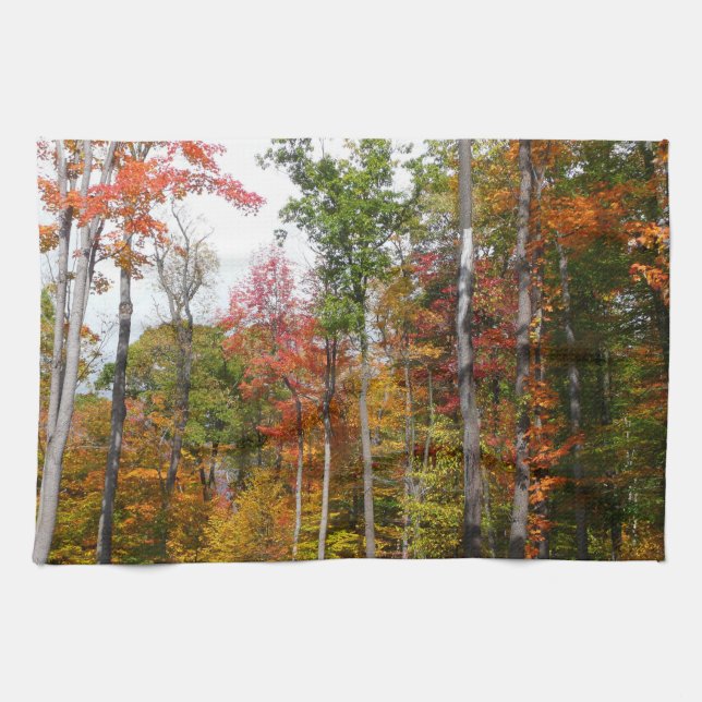 Rückgang der waldfarbenen Herbstfotografie Geschirrtuch (Horizontal)