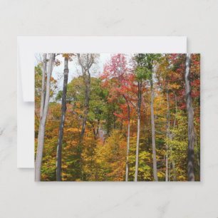 Rückgang der waldfarbenen Herbstfotografie Karte
