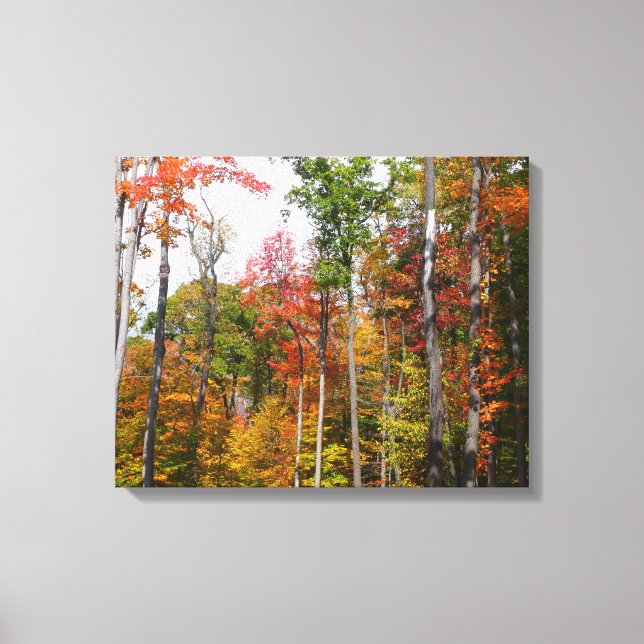 Rückgang der waldfarbenen Herbstfotografie Leinwanddruck (Vorderseite)