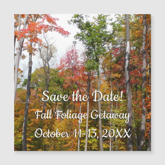 Rückgang der waldfarbenen Herbstfotografie Magnetkarte (Vorderseite)