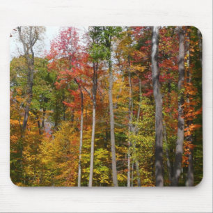 Rückgang der waldfarbenen Herbstfotografie Mousepad