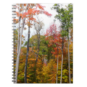 Rückgang der waldfarbenen Herbstfotografie Notizblock