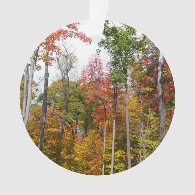 Rückgang der waldfarbenen Herbstfotografie Ornament (Vorderseite)