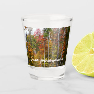 Rückgang der waldfarbenen Herbstfotografie Schnapsglas