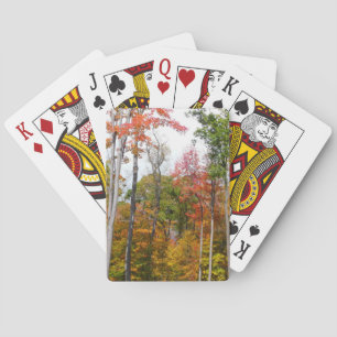 Rückgang der waldfarbenen Herbstfotografie Spielkarten