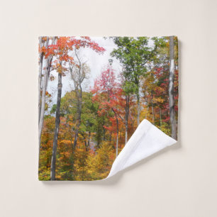 Rückgang der waldfarbenen Herbstfotografie Waschlappen