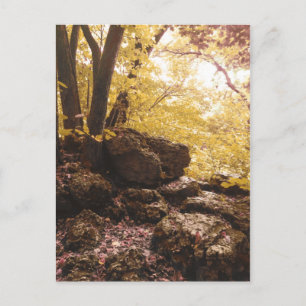 Rückgrat Staat Park Iowa Postkarte