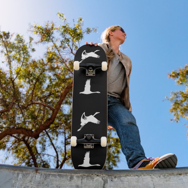 RÜCKKEHR DER GEESEN SKATEBOARD (Außenbereich 1)