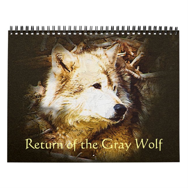 Rückkehr des grauen Wolfs Kalender (Titelbild)