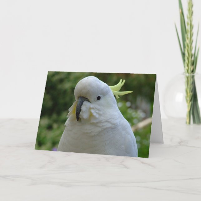 Rückkehr des Mandel muncher! Karte (Vorderseite)