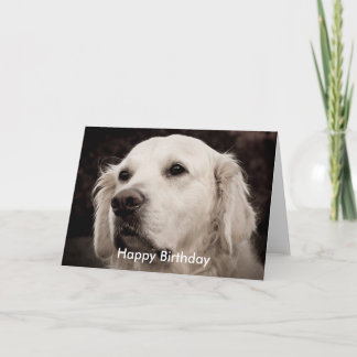 Rückreise - Golden Karte