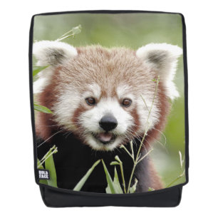 Rucksack.Foto roter Panda.Rucksack Rucksack