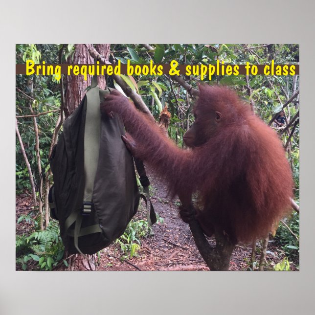 Rucksack für niedliche Klassenlehrer Poster (Vorne)