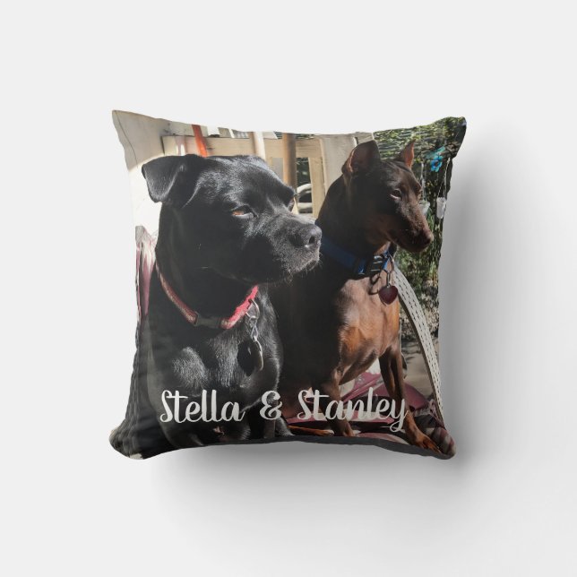 Rückseite des Haustier-Namen-Kissen-Sprichworts an Kissen (Vorderseite)